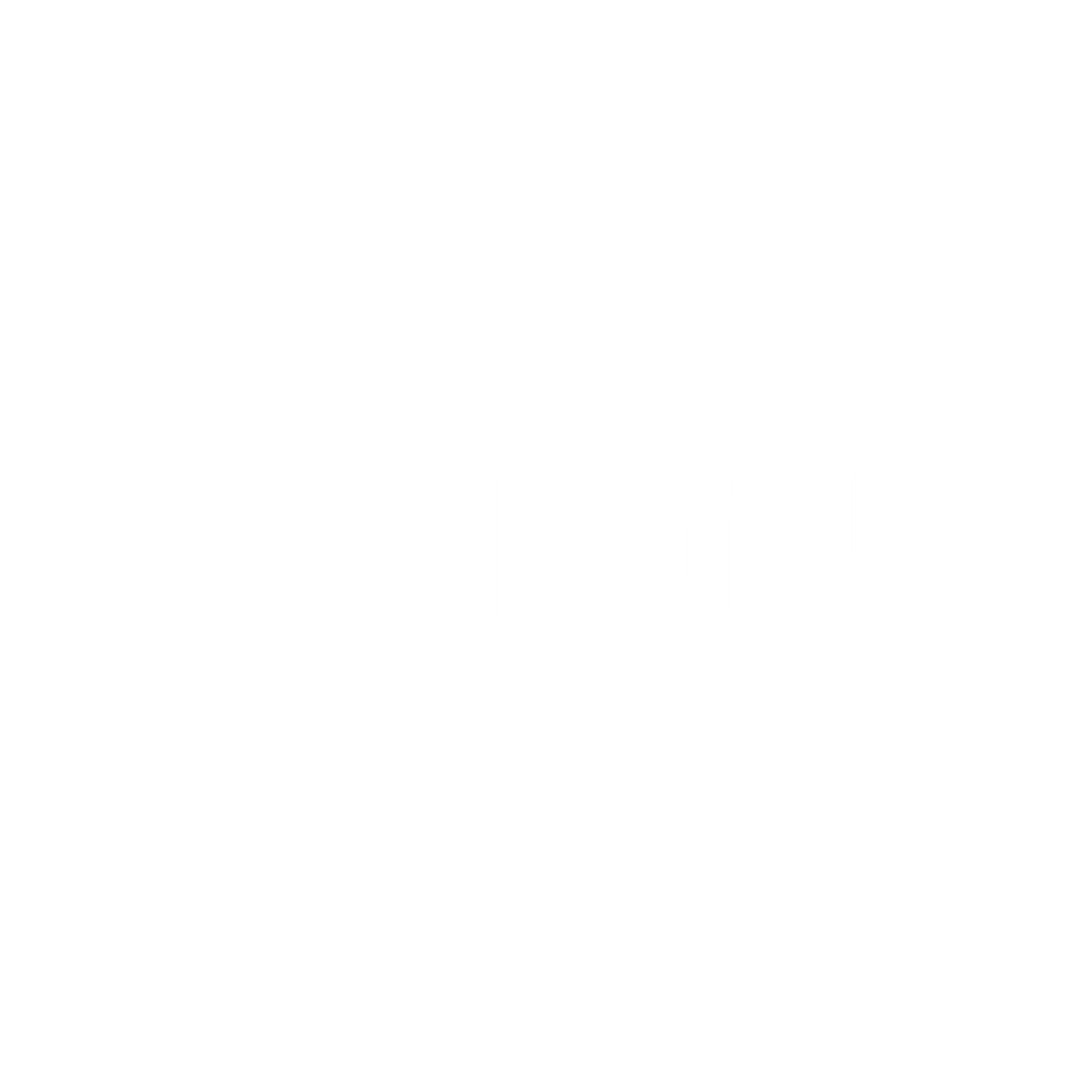 Omni Cables Logo